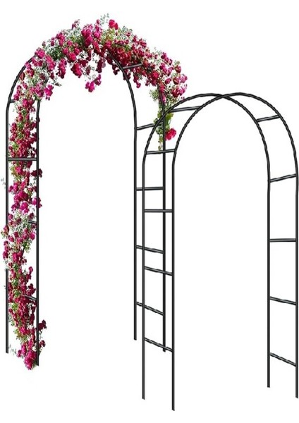 Bahçe Sarmaşık Kemeri