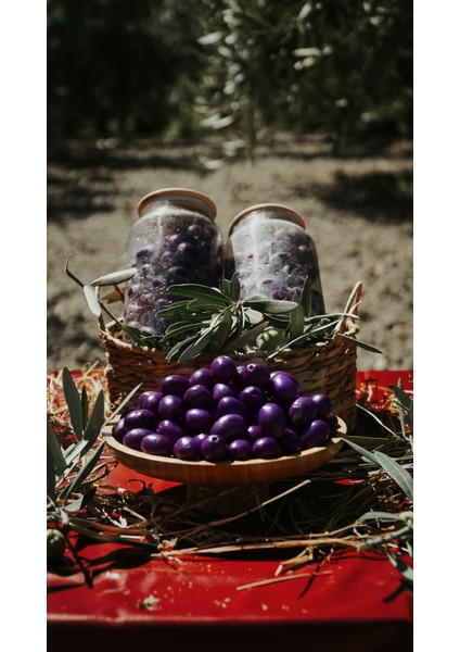 Yaban Mersinli Zeytin Gurme Seri: Yaban Mersini Dokunuşlu Zeytin Mor Zeytin Mor Lezzet: Yaban Mersinli Zeytin fiyatları