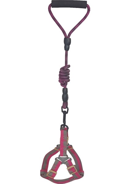 Köpek Göğüs Tasma Seti Dalga Desenli 2 Cm*40-58 cm Mor-Pembe fırsatları