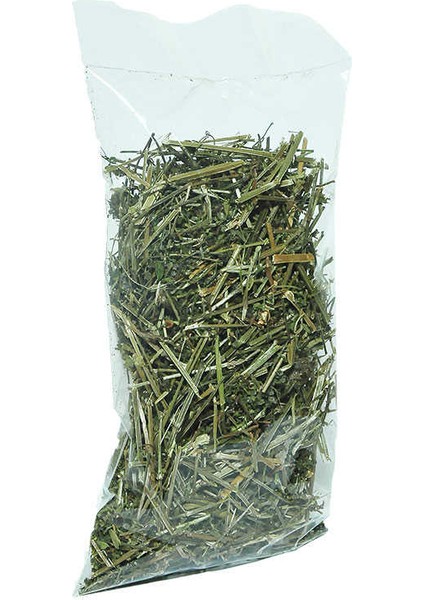 Yoğurt Otu 50 gr Paket fiyatları