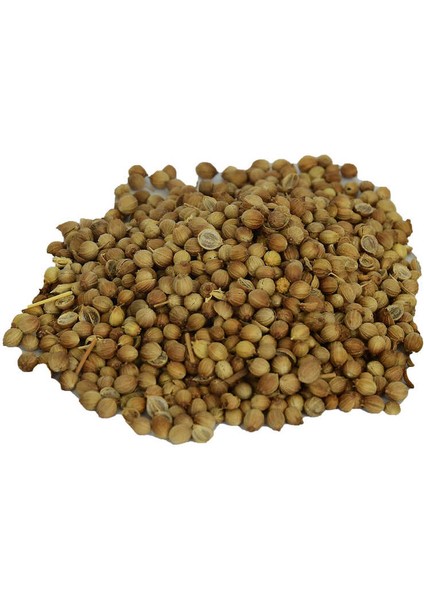 Kişniş Doğal Tane 100 gr Paket