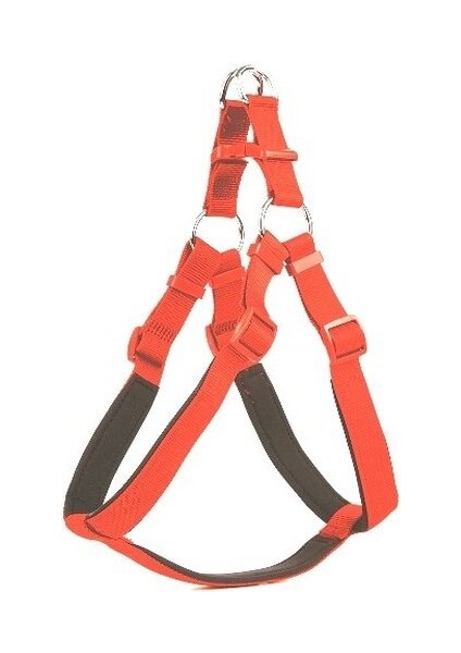 Köpek Bel Tasması 95CM Xx-Large Siyah fiyatları