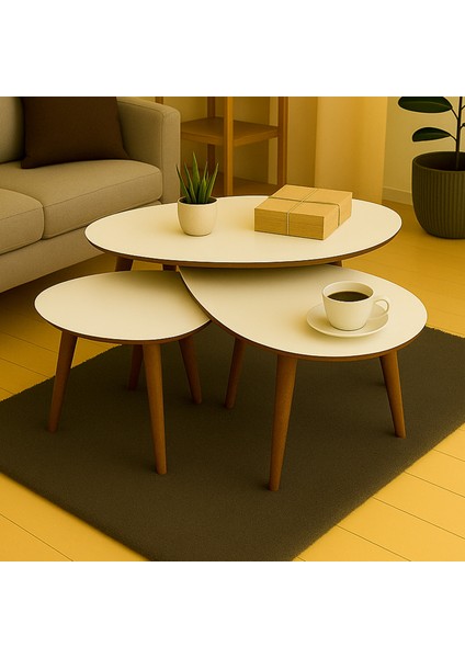 Paris Zigon Sehpa fiyatları