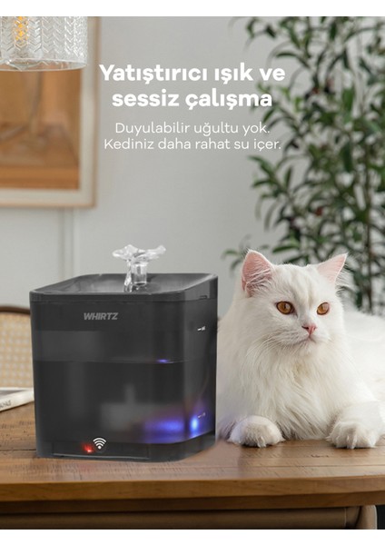 WR-PT-1005 Akıllı Su Pınarı, Su Kabı, Su Çeşmesi - 2.2 Litre - Uygulama Üzerinden Kontrol fırsatları