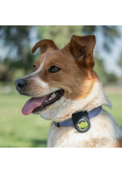 Airtag Raptic Anchor Serisi Klipsli Airtag Kılıfı Siyah