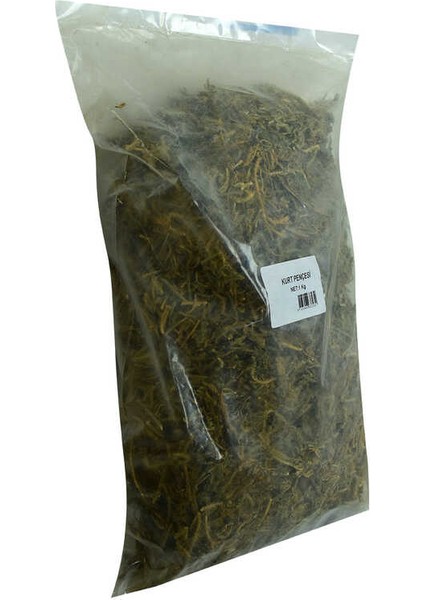Kurt Pençesi Otu Doğal 1000 gr Paket modelleri