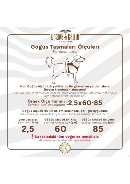 Köpek Bel Tasması 3cm-75 x 85 cm 3x-Large Tcu fiyatları