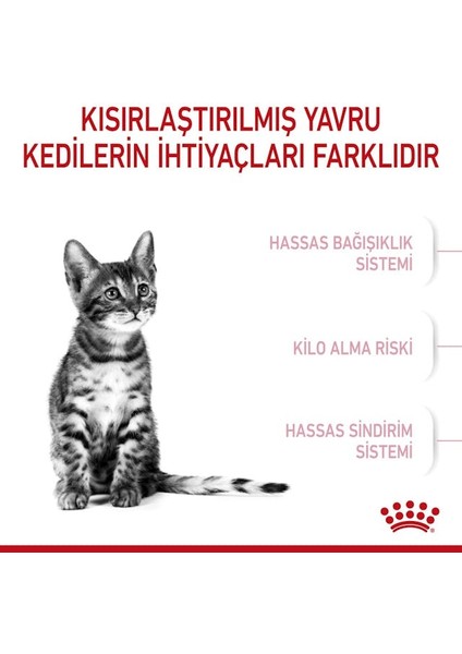 Sterilised Kısırlaştırılmış Yavru Kediler için Kuru Kedi Maması 2kg fırsatları