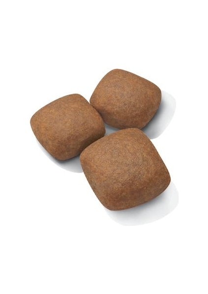 Dev Irklar için Yavru Köpek Maması 15 Kg fiyatları