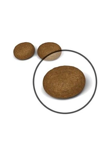Hair&Skin Tüy ve Deri Sağlığı için Kuru Kedi Maması 2kg fiyatları