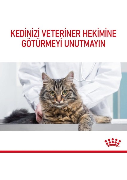 Hair&Skin Tüy ve Deri Sağlığı için Kuru Kedi Maması 2kg indirimleri
