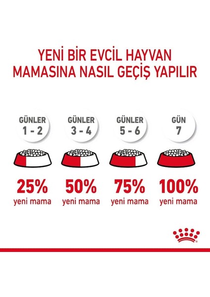 Hair&Skin Tüy ve Deri Sağlığı için Kuru Kedi Maması 2kg
