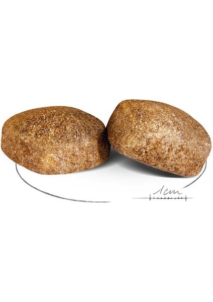 Maxi Dev Irklar Için Yetişkin Köpek Maması 15 Kg fiyatları