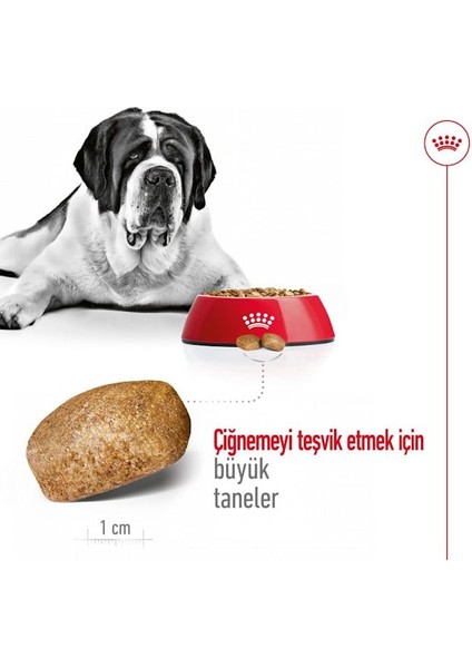Maxi Dev Irklar Için Yetişkin Köpek Maması 15 Kg fırsatları