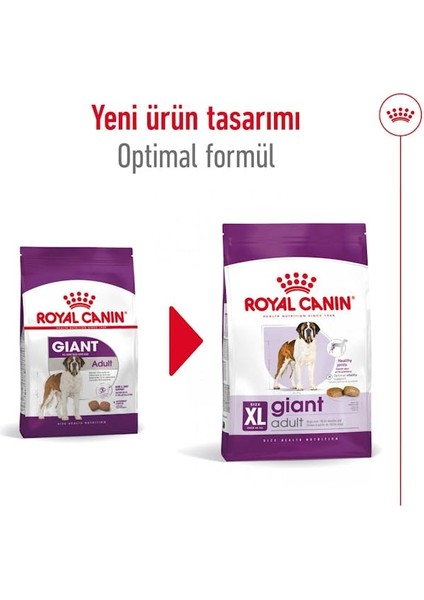 Maxi Dev Irklar Için Yetişkin Köpek Maması 15 Kg