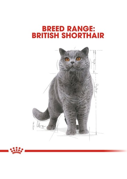 British Shorthair için Yaş Kedi Maması 85g fırsatları