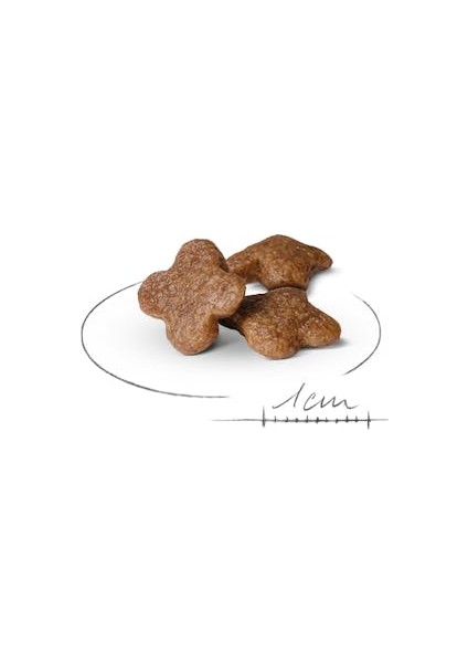 Mini Adult +8 Yaş Yaşlı Köpek Maması 2 Kg fiyatları