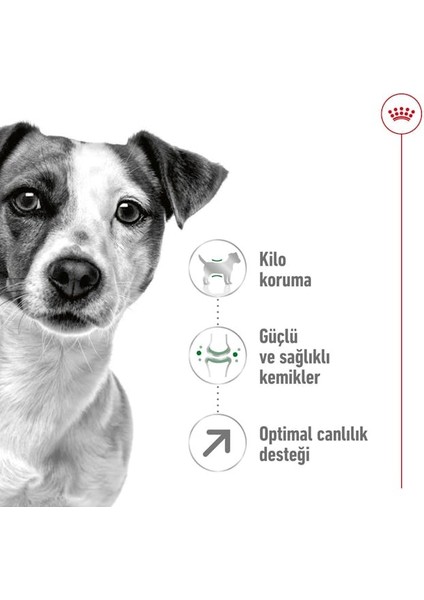 Mini Adult +8 Yaş Yaşlı Köpek Maması 2 Kg fırsatları