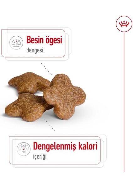 Mini Adult +8 Yaş Yaşlı Köpek Maması 2 Kg indirimleri