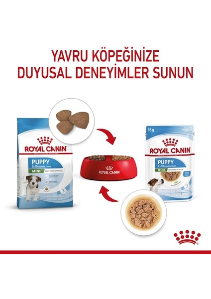 Küçük Irklar için Yavru Yaş Köpek Maması 12 x 85g indirimleri