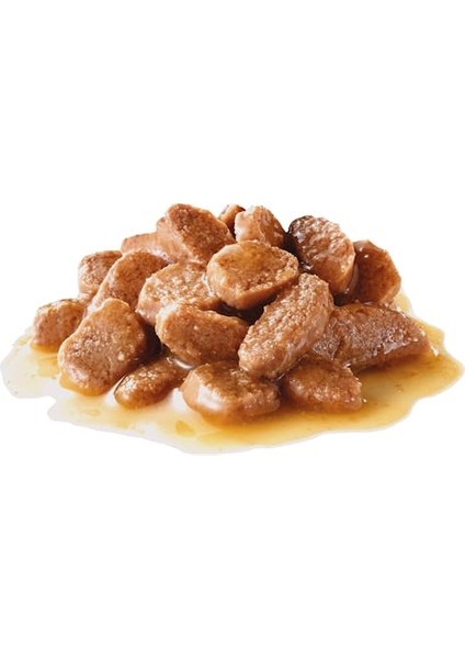 Lightweight Yaş Kedi Maması 85g fiyatları