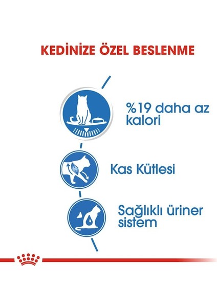 Lightweight Yaş Kedi Maması 85g indirimleri