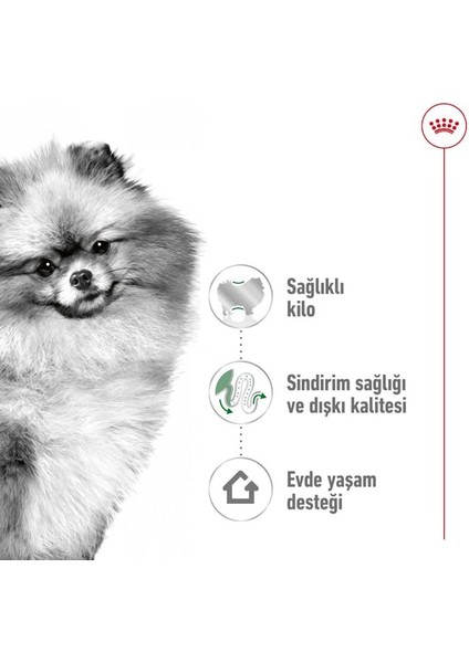 Mını Indoor Adult Küçük Irklar Için Indoor Yetişkin Kuru Köpek Ma