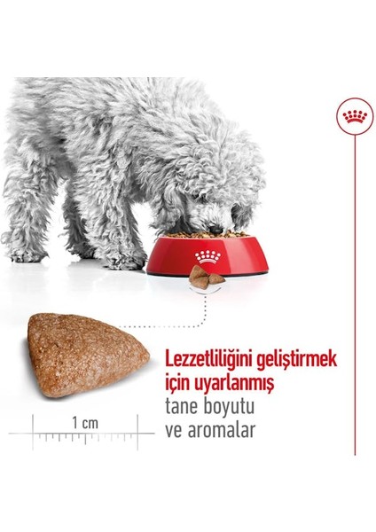 Mını Indoor Adult Küçük Irklar Için Indoor Yetişkin Kuru Köpek Ma