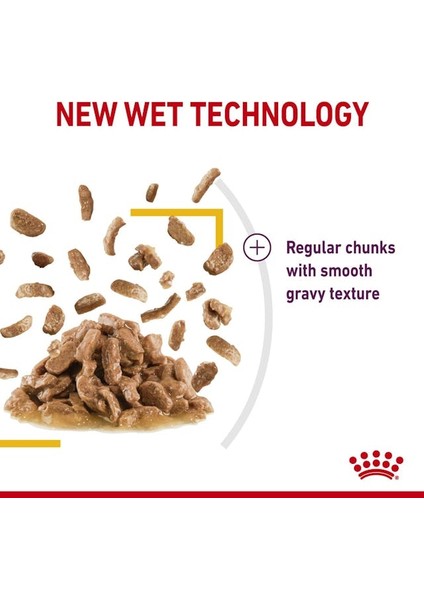 Sensory Tat Duyusu için Sos İçerisinde Yaş Kedi Maması 12 x 85g