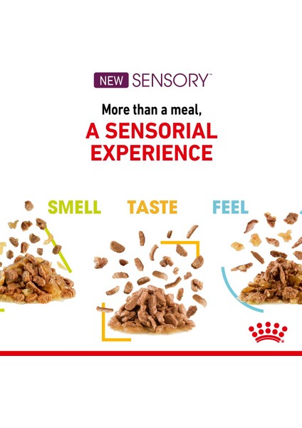 Sensory Koku Duyusu için Sos İçerisinde Yaş Kedi Mama fırsatları