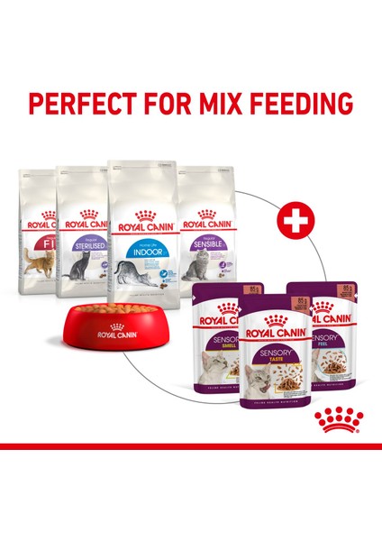 Sensory Koku Duyusu için Sos İçerisinde Yaş Kedi Mama