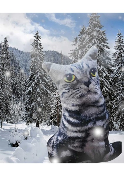 Gri Kedili Yastık fiyatları