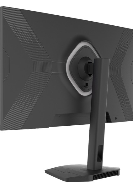 Lunis L10 24'' 165Hz 1ms IPS Fhd Pivot Gaming Monitör (Sıfır Ölü Piksel Garantili) fırsatları
