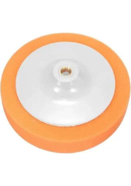 Oto Pasta Cila Süngeri fiyatları