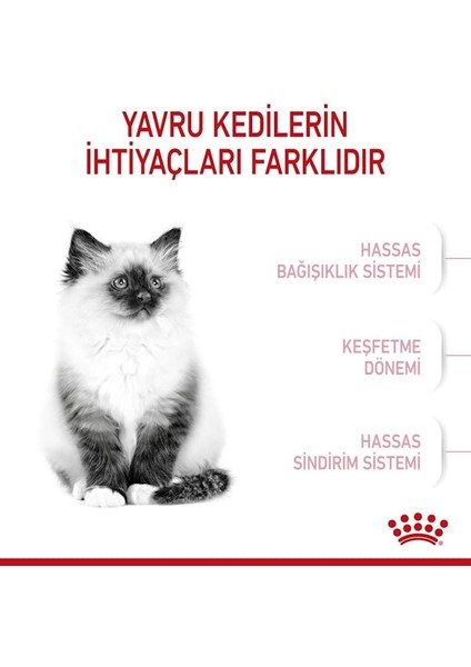 Royal Kitten Yavru Kediler için Kuru Kedi Maması 4kg