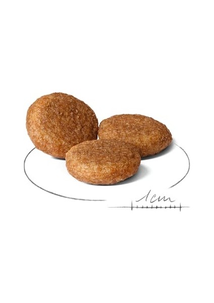 Medium Adult Yetişkin Köpek Maması 15 Kg fiyatları