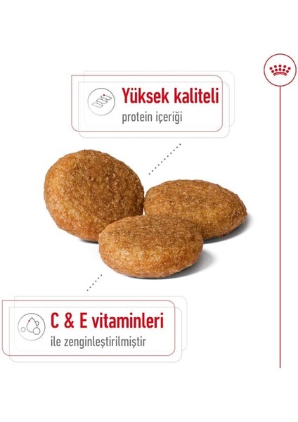 Medium Adult Yetişkin Köpek Maması 15 Kg