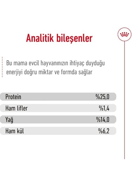 Medium Adult Yetişkin Köpek Maması 15 Kg