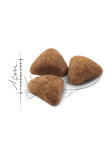 Indoor27 Yetişkin Kuru Kedi Maması 400g