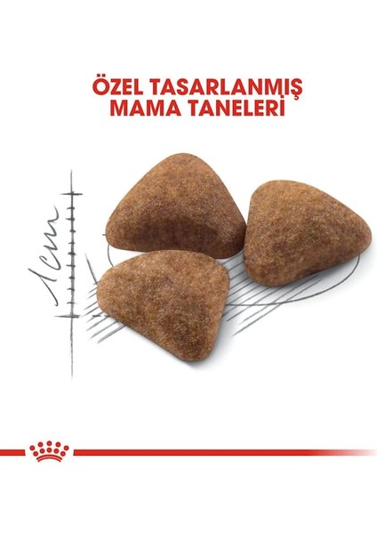 Indoor27 Yetişkin Kuru Kedi Maması 400g