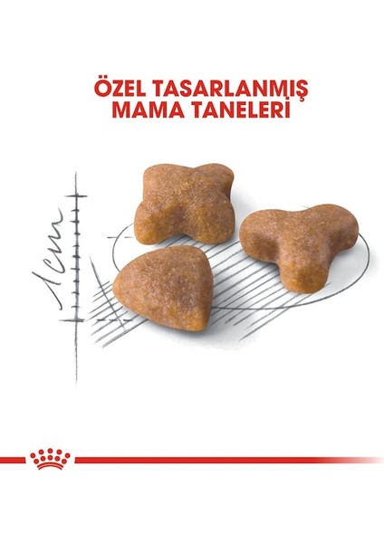 Sensible33 Sindirim Hassasiyeti Olan Kediler için Yetişkin Kuru Kedi Maması 4kg
