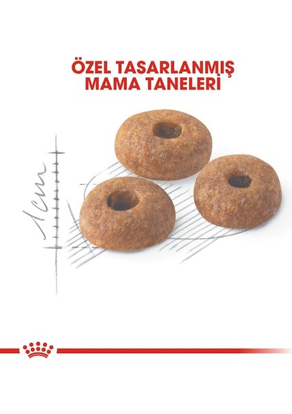 Fit 32 Kuru Kedi Maması 2 Kg indirimleri