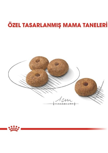 Mini Sterilised Kısırlaştırılmış Köpekler için Yetişkin Köpek Maması 3kg