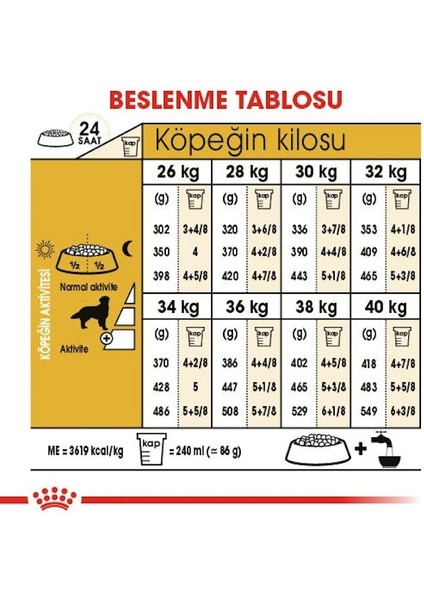 Golden Retriever Yetişkin Kuru Köpek Maması 12kg