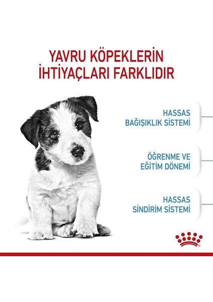 Küçük Irklar için Yavru Kuru Köpek Maması 4kg modelleri