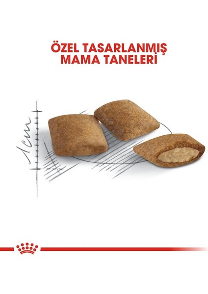 Ageing +12 Yaşlı Kedi Maması 2 Kg fırsatları