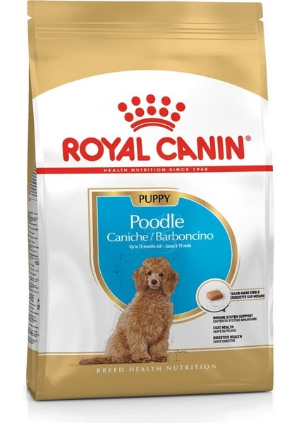 Poodle Puppy Yavru Köpek Maması 3 Kg