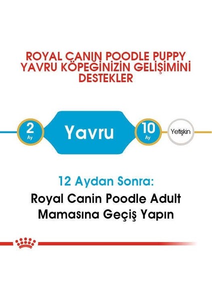 Poodle Puppy Yavru Köpek Maması 3 Kg indirimleri