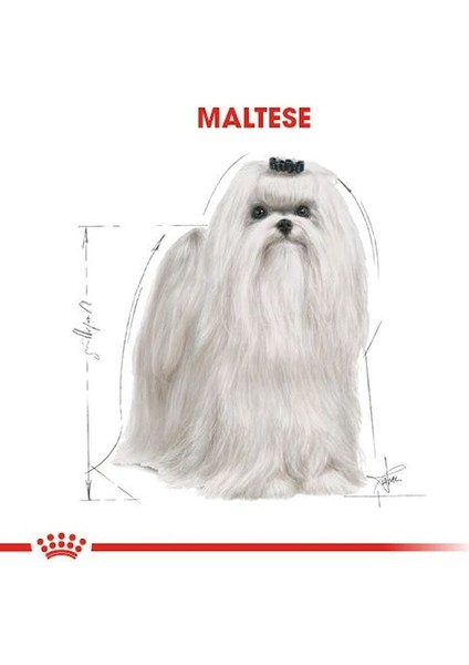 Maltese Adult Yetişkin Köpek Maması 1,5 Kg