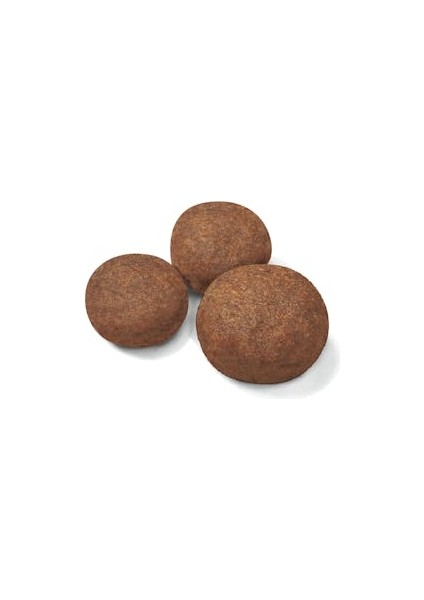 Medium Puppy Orta Irk Yavru Köpek Maması 15 kg fiyatları